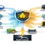 BeEF vs Burp Suite: Which Tool Is Better for Web Security Testing